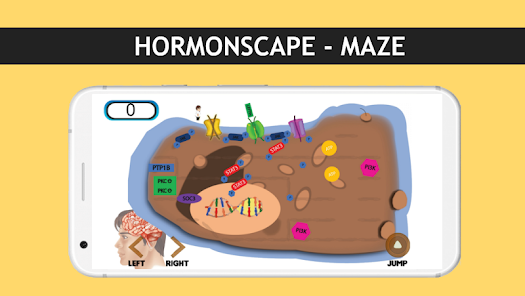 Hormonscape - Apps On Google Play