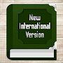 New International Version: NIV
