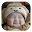 Nama Bayi Islami Download on Windows
