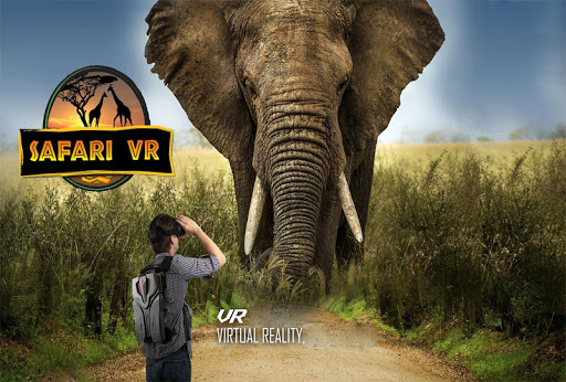 Safari VR - Real scenes