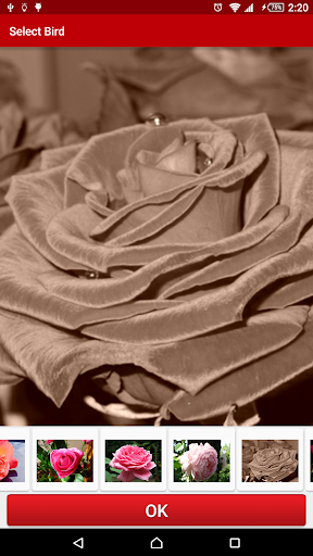 Flowers Live Wallpaper Screen 3
