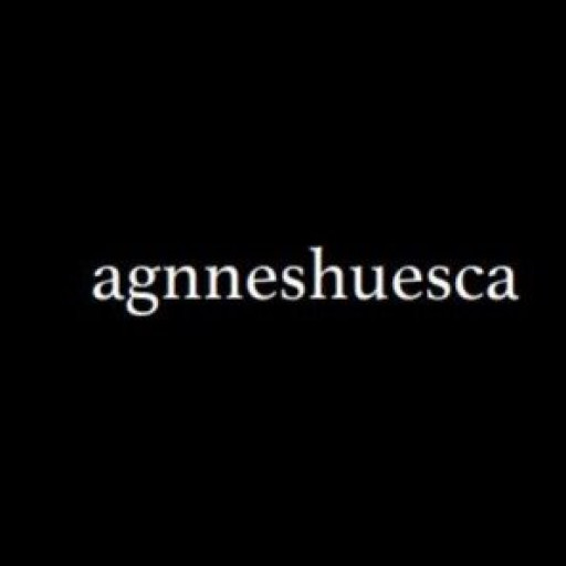 agnneshuesca logo