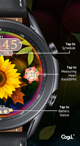 Autumn Flower River_Watchface Screen 3