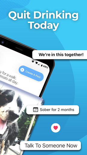 Sober Sidekick: Quit Drinking Screen 3