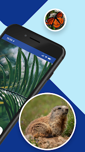 Earthsnap - Nature Identifier - Apps On Google Play