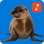 Top 32 Lifestyle Apps Like Seals & Sea Lion Ringtones - Best Alternatives