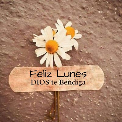 Android application Saludos Cristianos con Frases screenshort