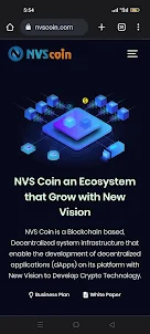NVS Coin