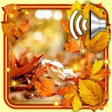 Autumn Falling Leaves icon