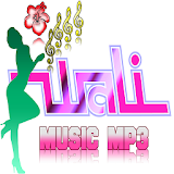 Song Wali MP3 Audio Complete icon