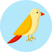 Top 39 Trivia Apps Like What kind of bird are you? Test - Best Alternatives
