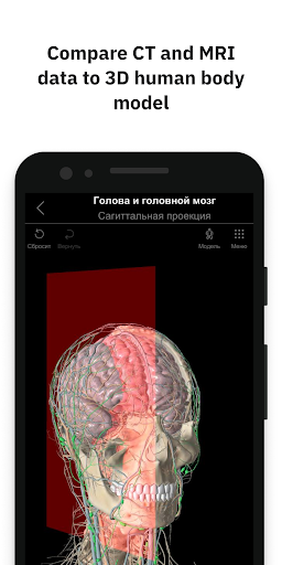 Pirogov Anatomy Screenshot 4 - AppWisp.com
