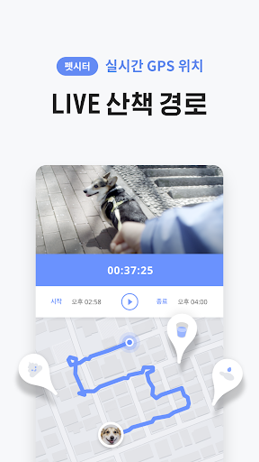 와요 - 펫시터 훈련사 그루머