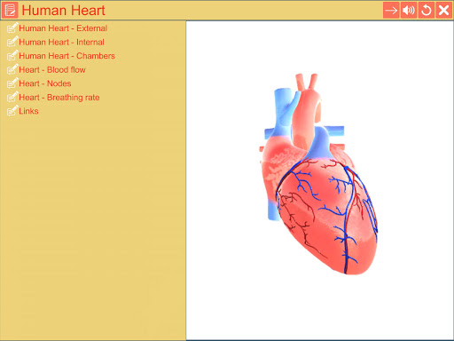 Android application Cardiac pacemaker screenshort
