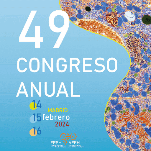 AEEH 2024 logo