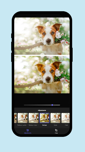 Adobe Elements (Beta) Screen 3