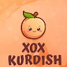 Xox - Kurdish Game (Multiplayer)
