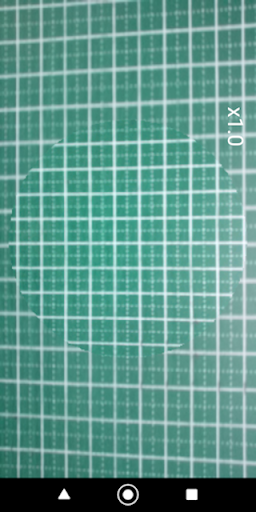 Lupe Screen 2