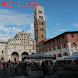 Lucca e i suoi dintorni - Androidアプリ