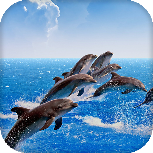 Dolphins Live Wallpaper - backgrounds hd