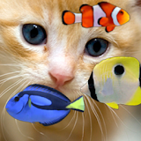 KITTY & FISH LIVE WALLPAPER(4) icon
