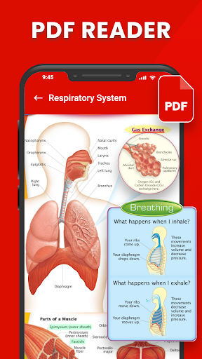Android application PDF Reader & PDF Book Viewer screenshort