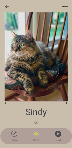 Android application Cat Name Generator screenshort