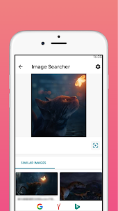 PicSearch: Fast Image Search