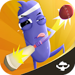 Cricket Buddy Multiplayer