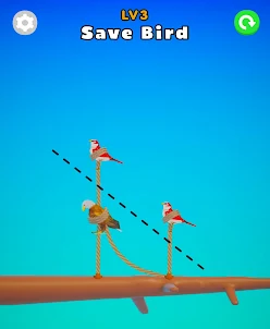 Birds And Ropes: Cut