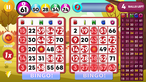 Bingo Places - Classic Game screenshots 1