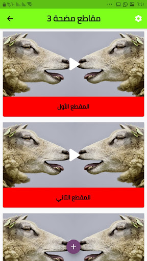 funny clips app - مقاطع مضحكه بدون نت