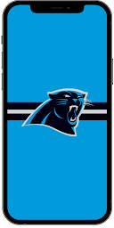 Carolina Panthers Wallpaper 4K