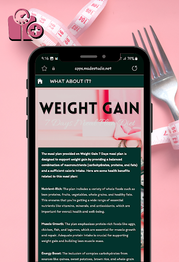 Weight Gain Diet Meal Plan
