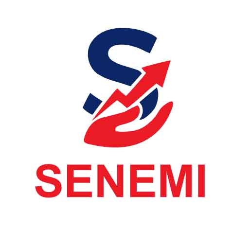 SENEMI CONSULTING Pvt Ltd logo