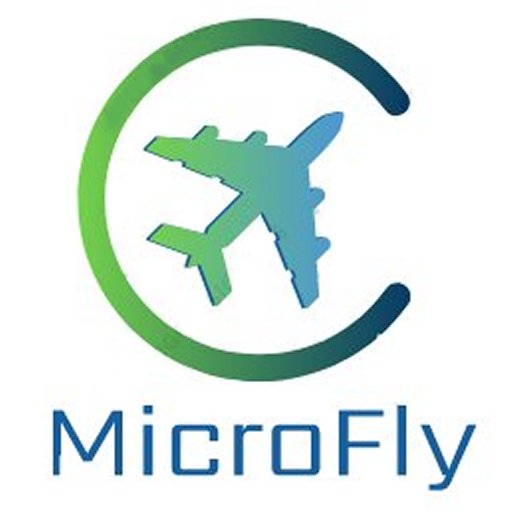 MicroFly 1.0 Icon
