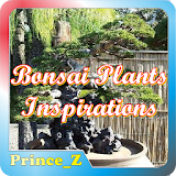 Bonsai Plants Ideas icon