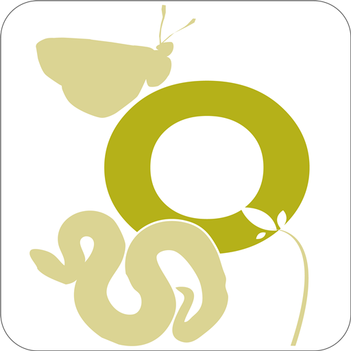 ORKS App logo
