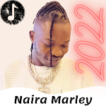 Cover Image of Télécharger Naira Marley Songs‏ All Albums  APK
