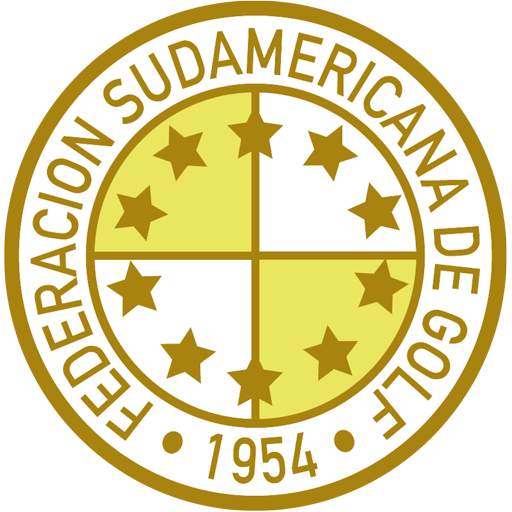 Copa Los Andes Match Champions logo