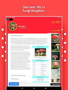 Mushroom Identification لقطة شاشة
