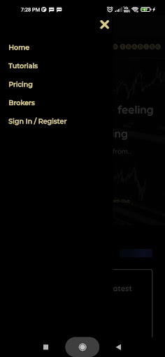 MR 1dollar FX Trading Screen 3