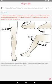 Screenshot 20 Handbook of Fractures android