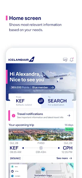 Icelandair Screenshots 18