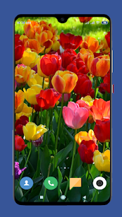 Beautiful Spring Wallpaper  4K 1.12 screenshots 9