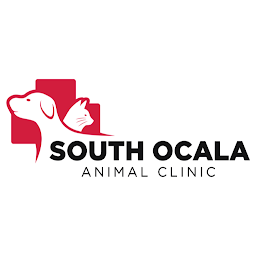 Icon image South Ocala Animal Clinic