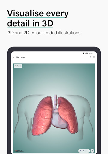 Teach Me Anatomy: 3D Human Body & Clinical Quizzes  Screenshots 14