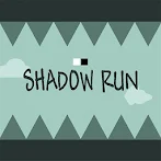 Shadow Run