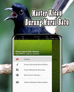 Masteran Murai Batu Medan MP3