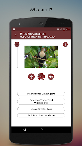 Screenshot of Birds Encyclopedia Offline App